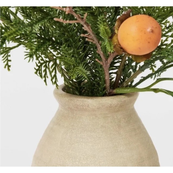 Studio McGee Mixed Greenery w persimmons in Pot Arrangement - Picture 4 of 5